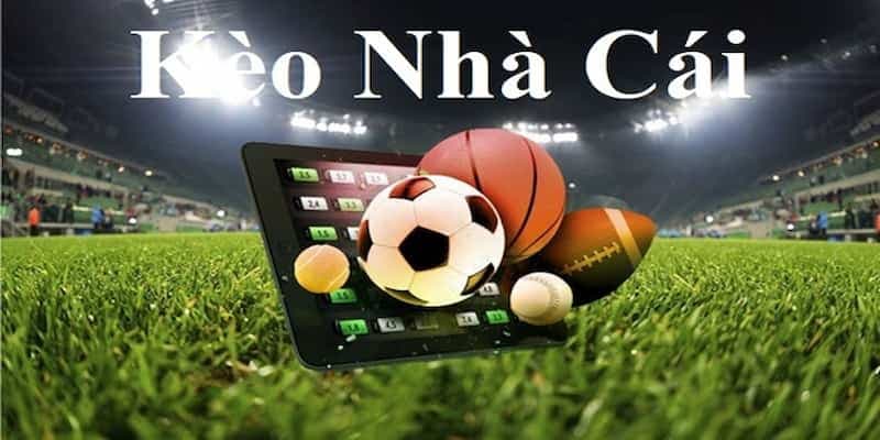 Kèo nhà cái hôm nay cách đọc chuẩn xác