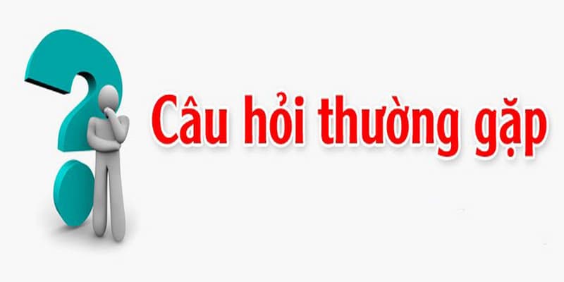 Câu hỏi thường gặp Câu hỏi thường gặp phổ biến